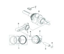 Crankshaft and Piston Assembly