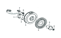 Flywheel & Ignition Coil Assembly