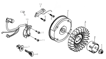 Flywheel and Ignition Coil