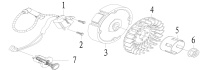 Flywheel and Ignition Coil