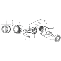 Crankshaft and Piston Assembly