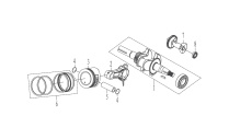 Piston Assembly and Crankshaft