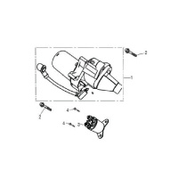 Starting Motor Assembly