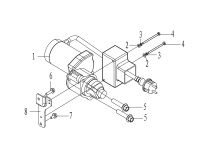 Starting Motor Assembly